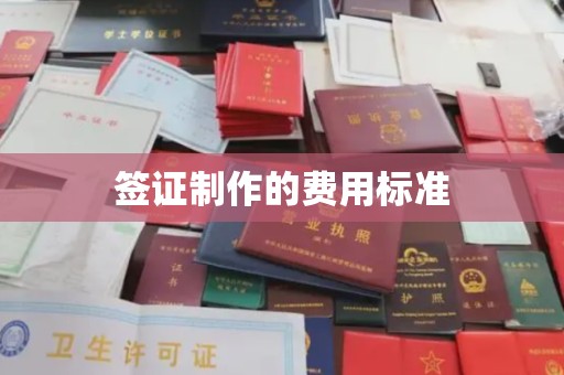沈北新区签证制作的费用标准